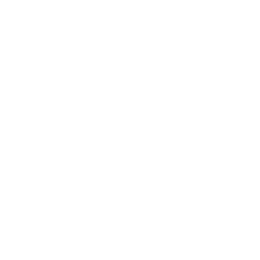 Logo lescure badminton club